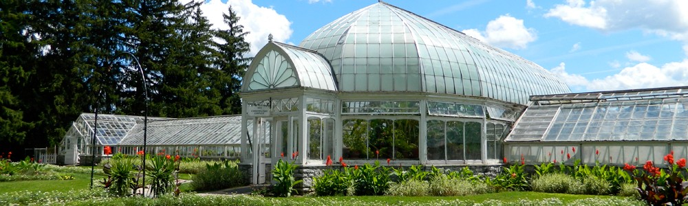 Greenhouse1